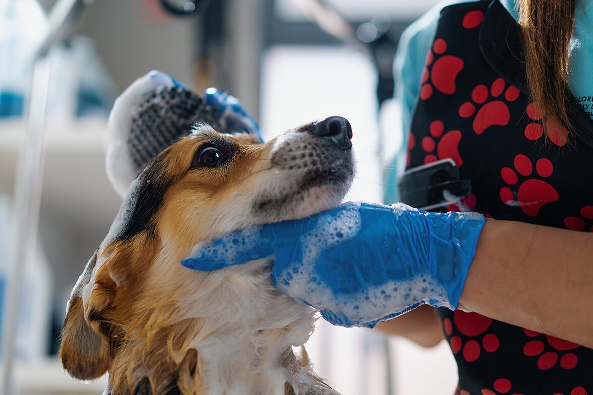 Nail Trim & File