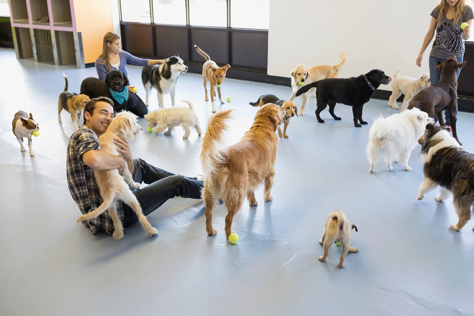 A trainer holding a puppy in the play room