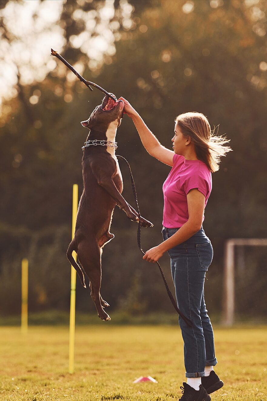 Puppy Group Class